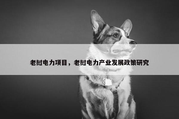 老挝电力项目，老挝电力产业发展政策研究