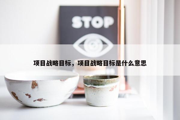 项目战略目标，项目战略目标是什么意思