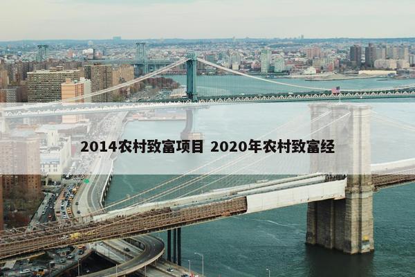 2014农村致富项目 2020年农村致富经