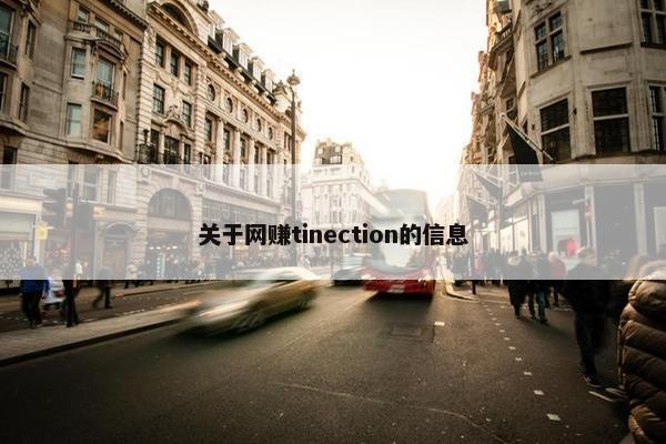 关于网赚tinection的信息