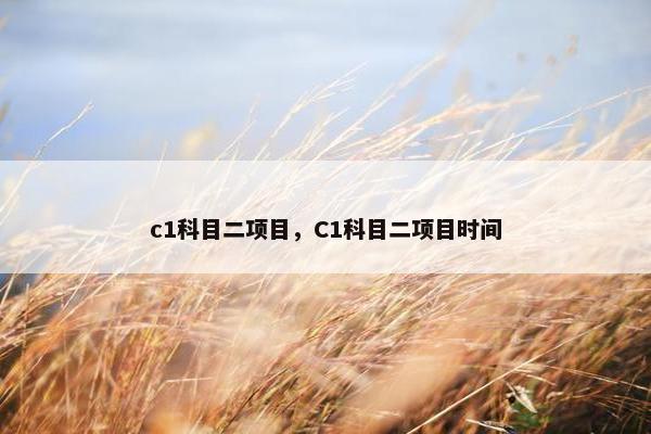 c1科目二项目，C1科目二项目时间