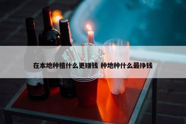 在本地种植什么更赚钱 种地种什么最挣钱