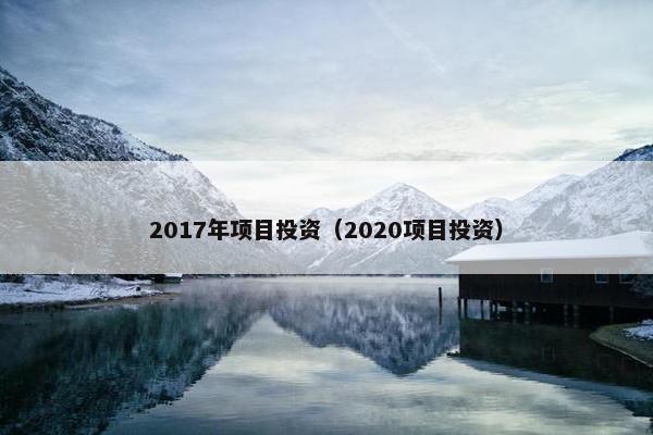 2017年项目投资（2020项目投资）