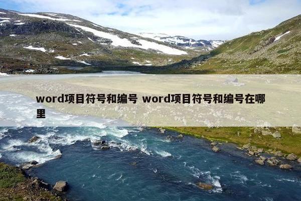 word项目符号和编号 word项目符号和编号在哪里