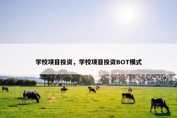 学校项目投资，学校项目投资BOT模式