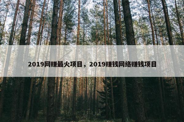 2019网赚最火项目，2019赚钱网络赚钱项目