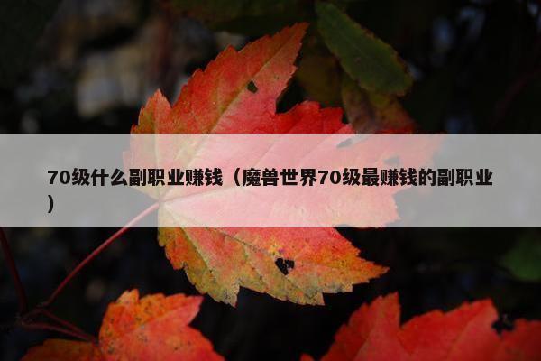 70级什么副职业赚钱（魔兽世界70级最赚钱的副职业）