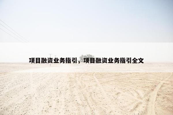 项目融资业务指引，项目融资业务指引全文