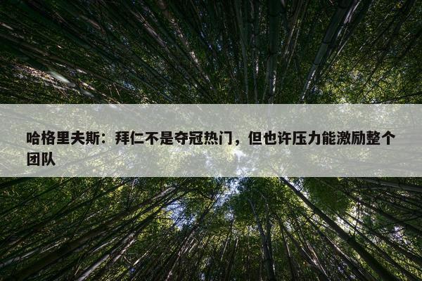 哈格里夫斯：拜仁不是夺冠热门，但也许压力能激励整个团队