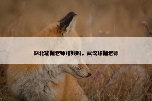 湖北瑜伽老师赚钱吗，武汉瑜伽老师