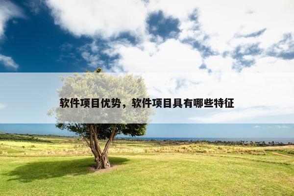 软件项目优势，软件项目具有哪些特征