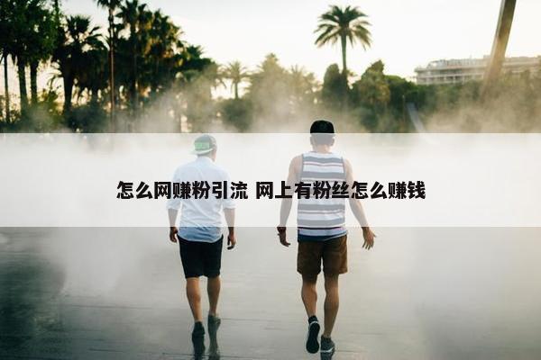 怎么网赚粉引流 网上有粉丝怎么赚钱