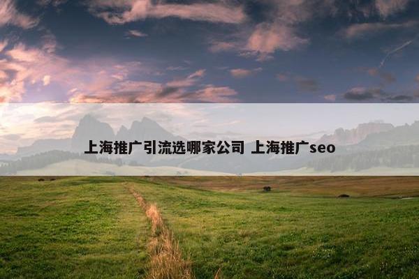 上海推广引流选哪家公司 上海推广seo