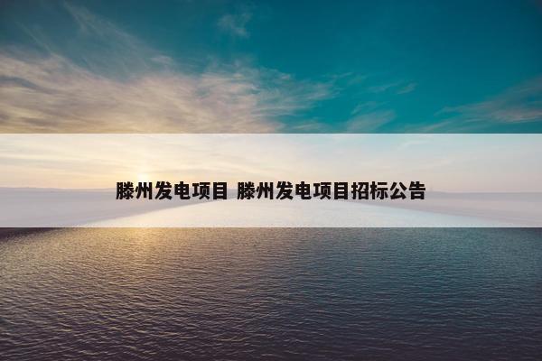 滕州发电项目 滕州发电项目招标公告