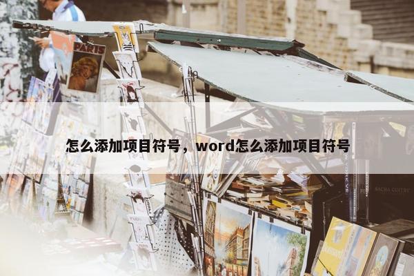 怎么添加项目符号，word怎么添加项目符号