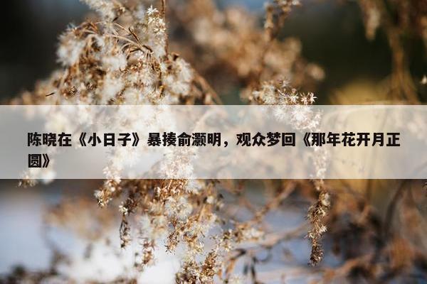 陈晓在《小日子》暴揍俞灏明，观众梦回《那年花开月正圆》