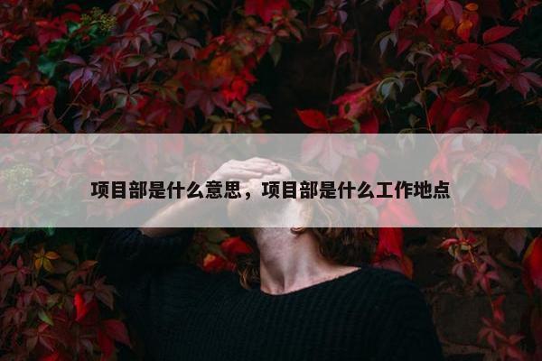 项目部是什么意思，项目部是什么工作地点