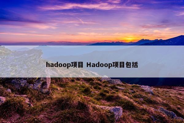 hadoop项目 Hadoop项目包括