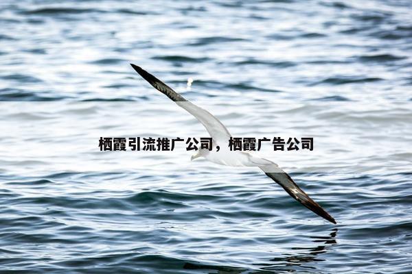 栖霞引流推广公司，栖霞广告公司