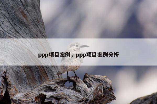 ppp项目案例，ppp项目案例分析