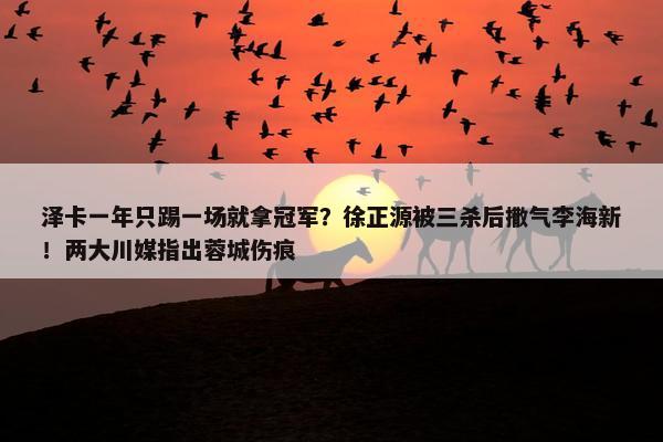 泽卡一年只踢一场就拿冠军？徐正源被三杀后撒气李海新！两大川媒指出蓉城伤痕