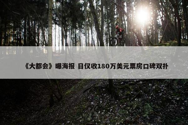 《大都会》曝海报 日仅收180万美元票房口碑双扑