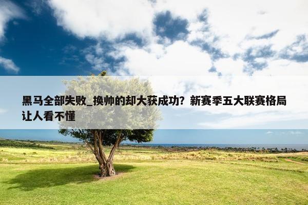 黑马全部失败_换帅的却大获成功？新赛季五大联赛格局让人看不懂