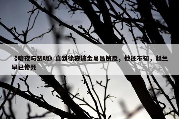 《暗夜与黎明》直到徐巍被金昴昌策反，他还不知，赵兰早已惨死