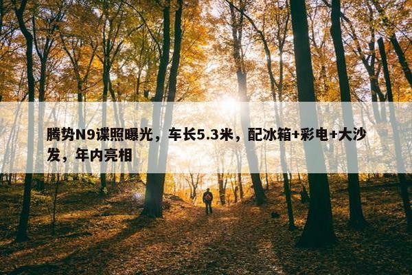 腾势N9谍照曝光，车长5.3米，配冰箱+彩电+大沙发，年内亮相