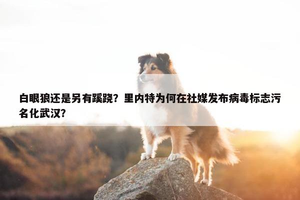 白眼狼还是另有蹊跷？里内特为何在社媒发布病毒标志污名化武汉？