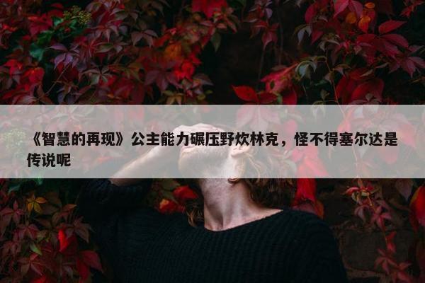 《智慧的再现》公主能力碾压野炊林克，怪不得塞尔达是传说呢