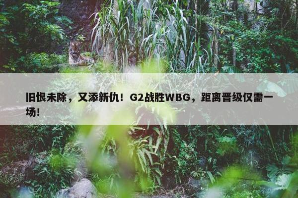 旧恨未除，又添新仇！G2战胜WBG，距离晋级仅需一场！